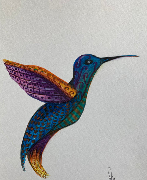Colibrí-La espera